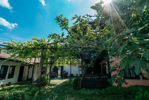 Villa The Zoev House