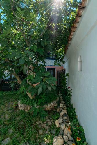 Villa The Zoev House