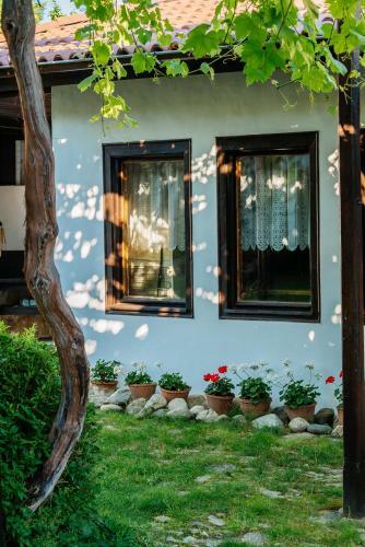 Villa The Zoev House