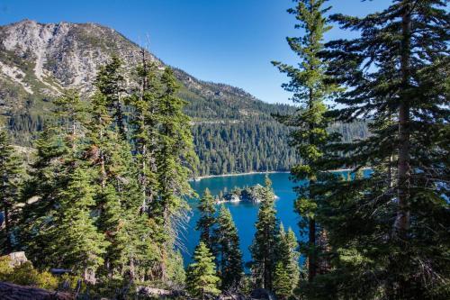 Spruce Grove Field And Stream Cabin Condo