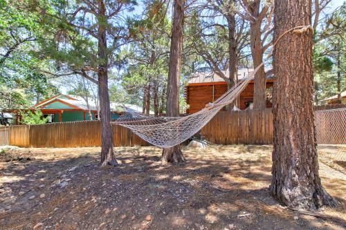 Lil' Bear Lodge