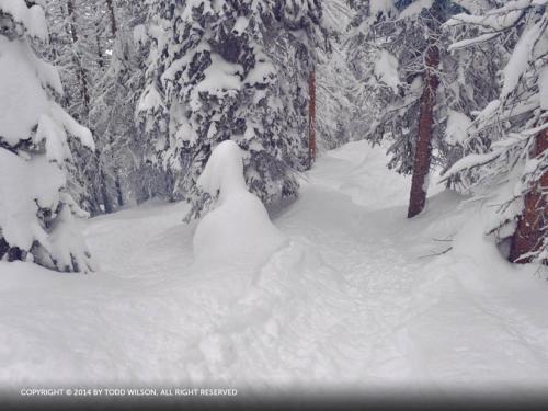 Storm Meadows I At Christie Base - Sc420