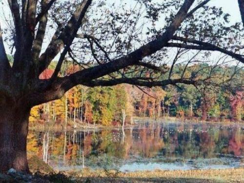Bed & Breakfast Inn At Fox Hill Farm