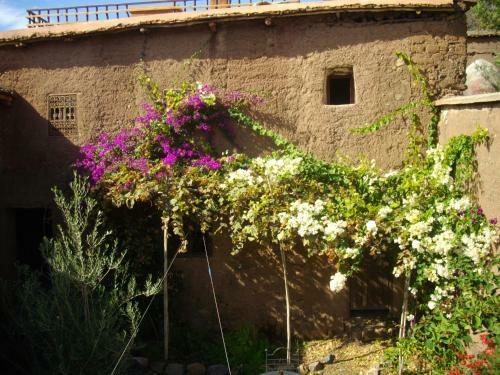 Marrakech Loc