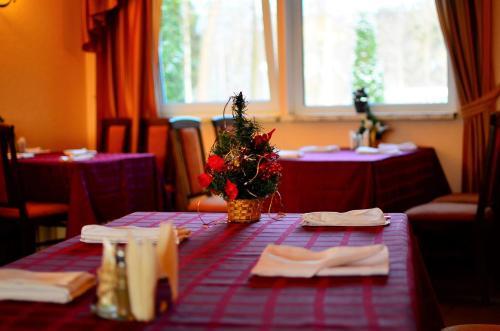 Kurort Hotel