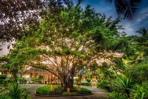 Hotel Banyan Tree Seychelles