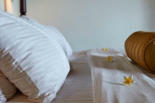Hostal Villa Sunbird