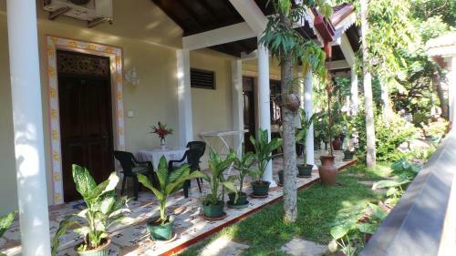 Hostal Rico Shadow Guest House & Restaurant