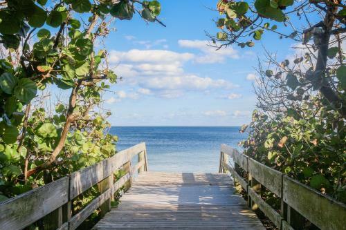 Life At The Beach