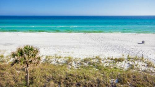 Vitamin Sea By Blueswell