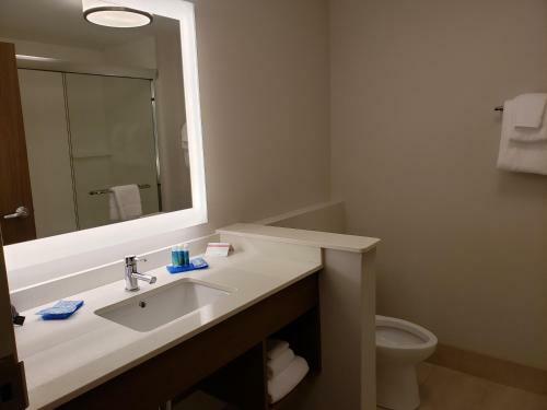 Hotel Holiday Inn Express - Macon North
