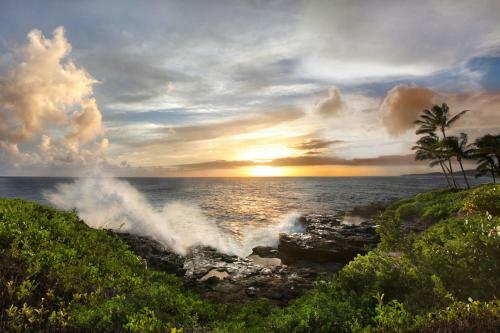 Poipu Lawai Beach 1206 - Oceanview - 1br/1ba