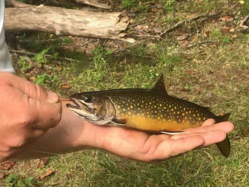Stickley Lodge Getaway