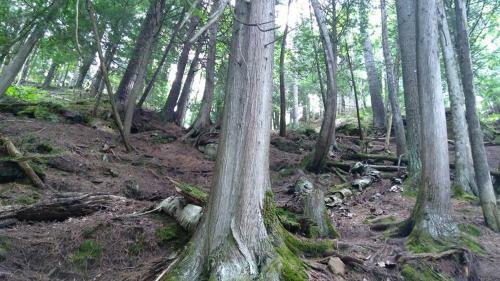 Stickley Lodge Getaway