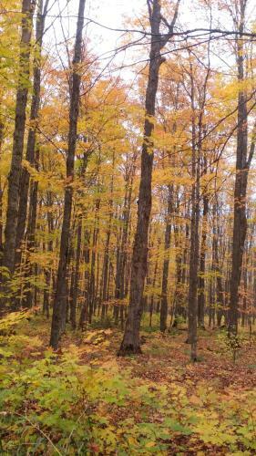 Stickley Lodge Getaway