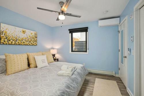 Mews 203