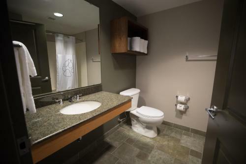 Hotel Great Wolf Lodge Bloomington