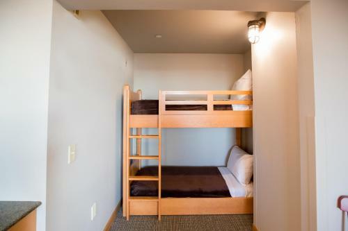 Hotel Great Wolf Lodge Bloomington