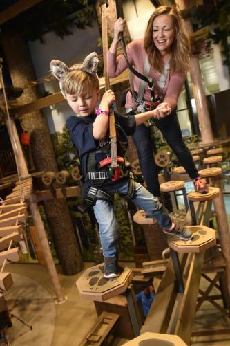Hotel Great Wolf Lodge Bloomington