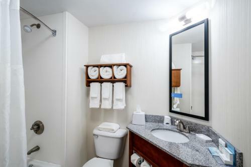 Hotel Hampton Inn & Suites Mooresville