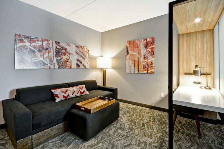 Hotel Springhill Suites By Marriott Cincinnati Blue Ash