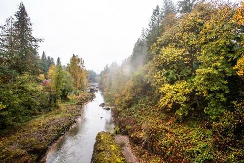 Sandy River Serenity
