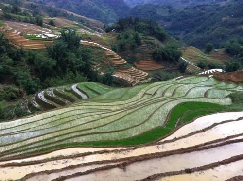 Bed & Breakfast Bac Ha Family Homestay