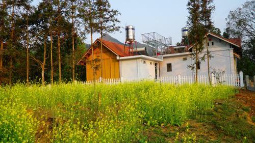 Huy Trung Homestay