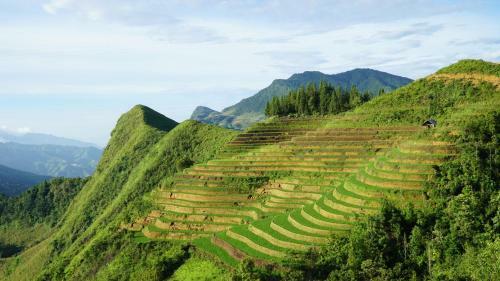 Huy Trung Homestay