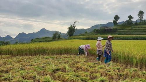 Anh Dao Homestay