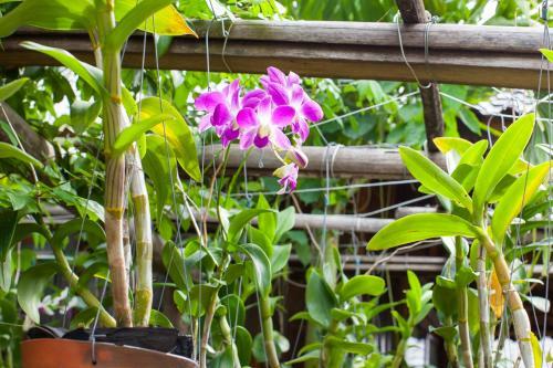 Hotel Elwood Premier Resort Phu Quoc