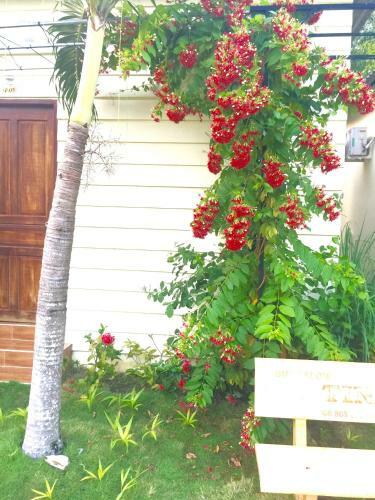 Hostal Tina Bungalow