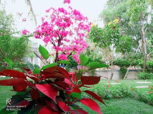 Hotel Camellia Resort & Spa