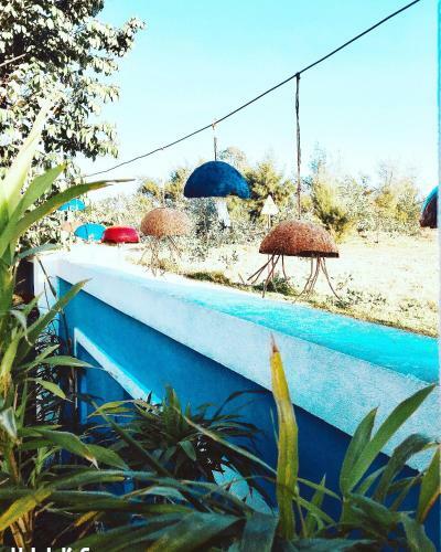 Coi Xay Gio Homestay
