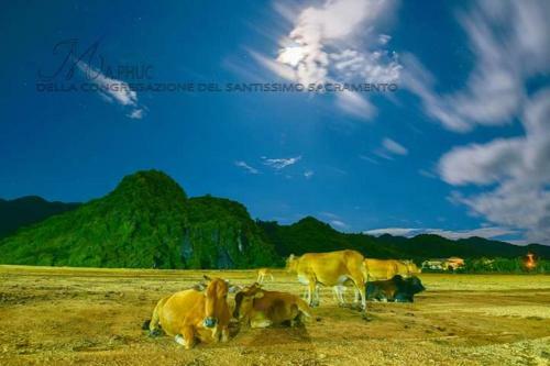 Little Rock Homestay