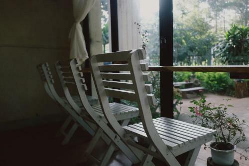 Hotel Sum Villa Homestay Mang Den