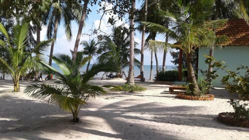 Hotel Kiki Coconut Beach Resort