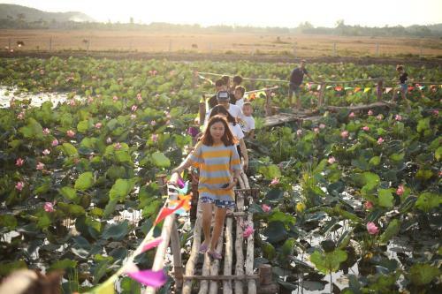 Phong Nha Tarzan's Homestay