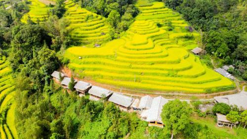 Dao Homestay