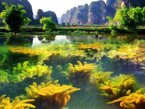 Hotel Emeralda Resort Ninh Binh