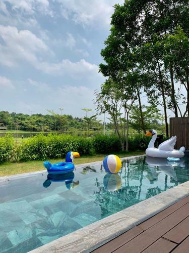 Flamingo Happy Villa Owner