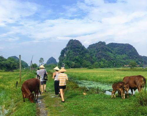 Trang An Np Homestay
