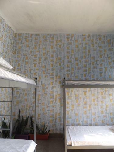 Agroturismo Trang An Nature House