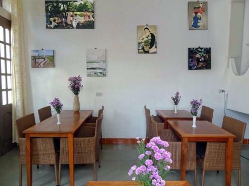 Hostal Green Papaya Home Stay