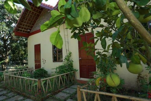 Xuan Lai Right View Homestay