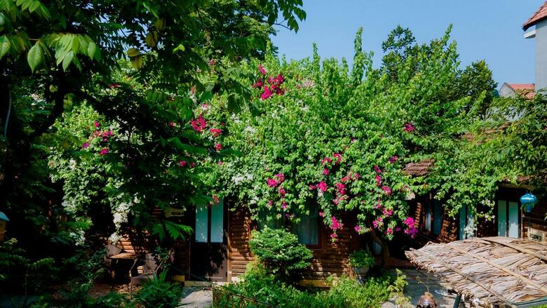 Agroturismo Green Peace Bungalow