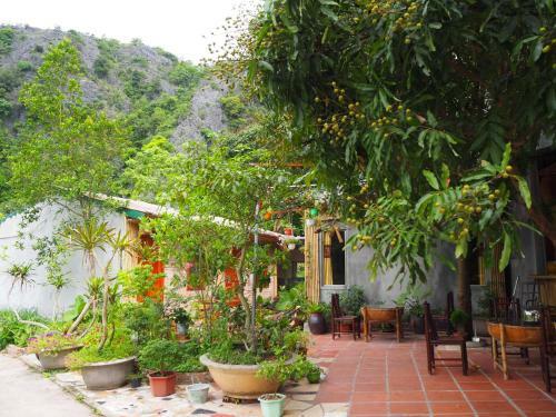 Lodge Tuan Nam Homestay