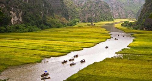 Tam Coc Thanh Dat Homestay