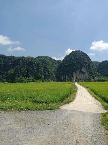 Lodge Tam Coc Valley Bungalow