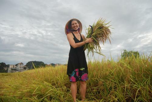 Phi Hung's Unique Homestay